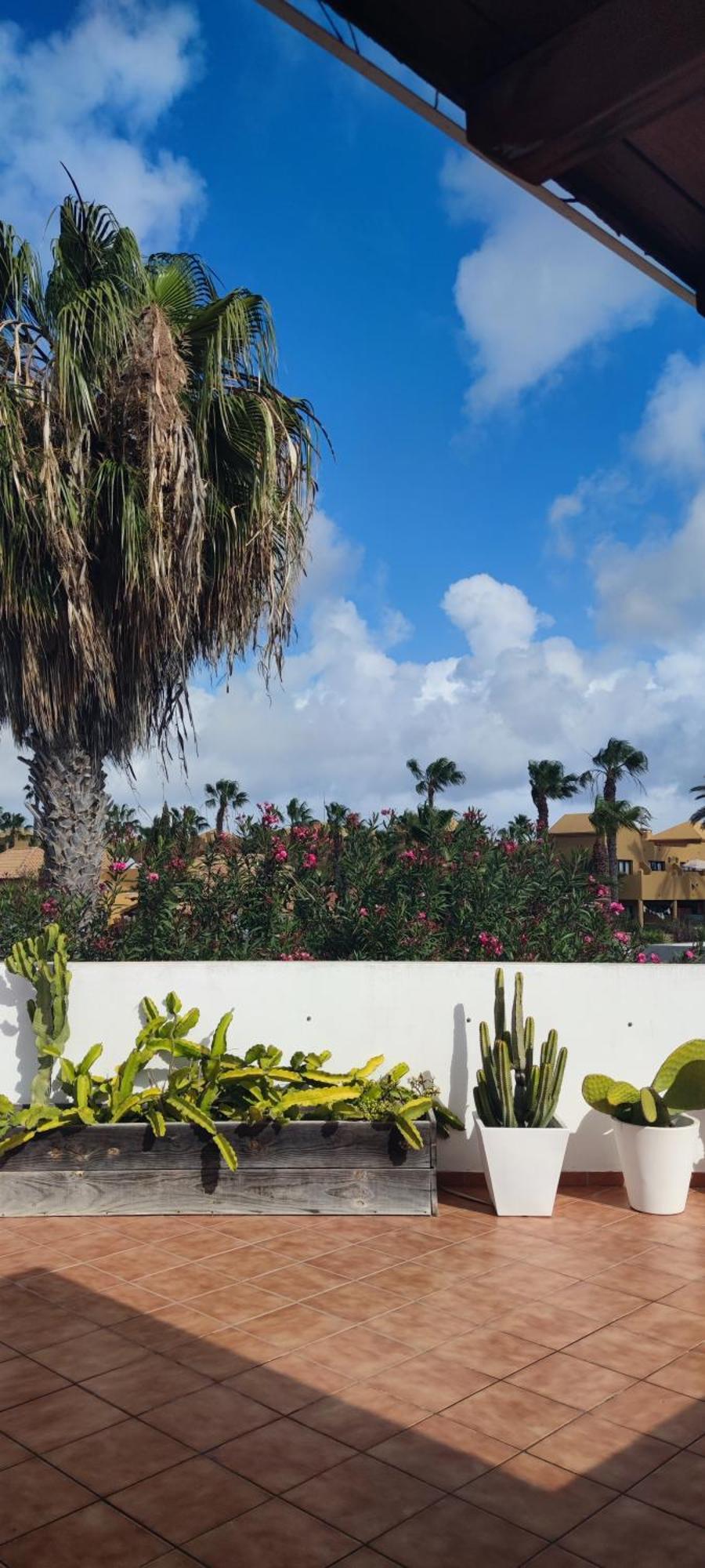 Casa Lena Americas コラレホ エクステリア 写真